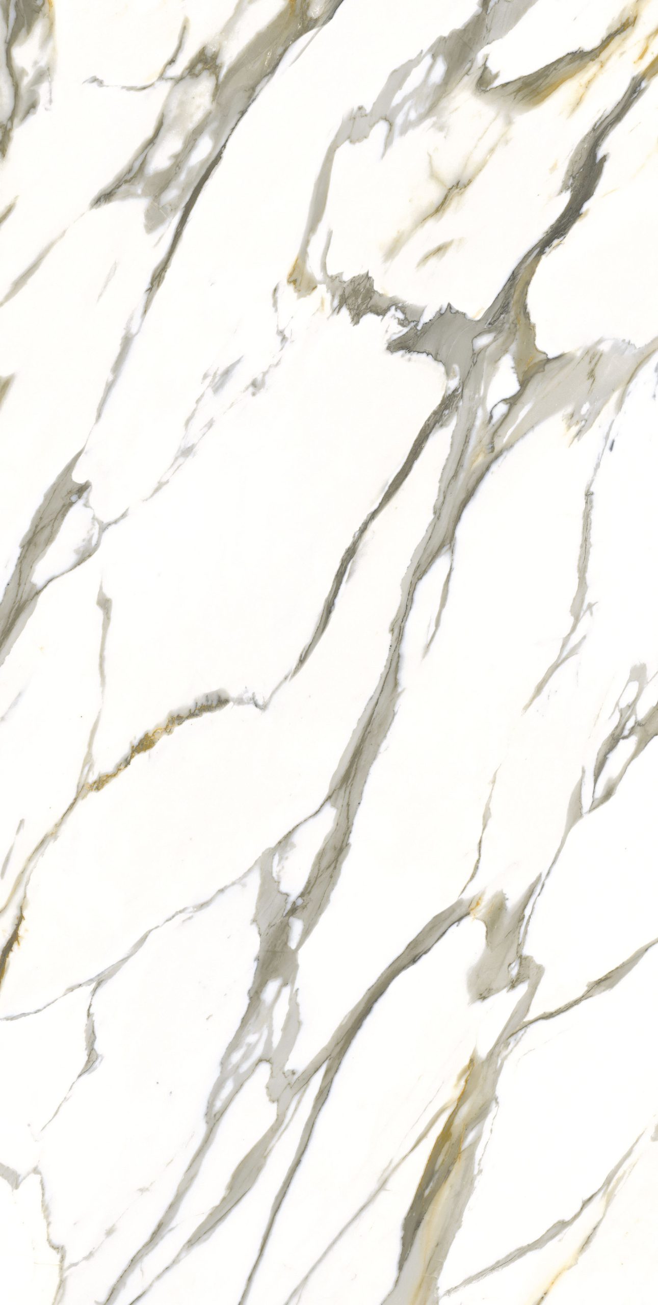 CALACATTA CREAM LIGHT Porcelain
