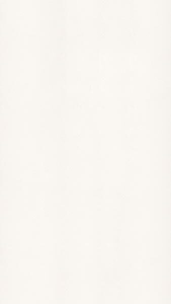2141 Blizzard Snow vertical rotated
