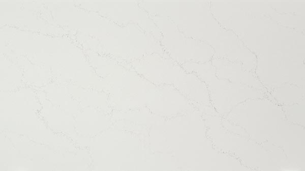 515 Palm Shade Full Slab 16X9 scaled 1 vertical