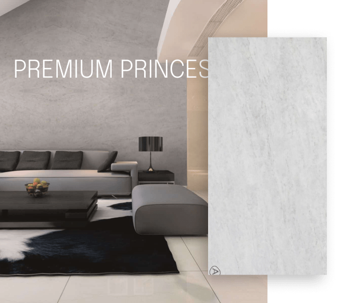 Porcelain Slab Campaign 11 PREMIUM PRINCESS