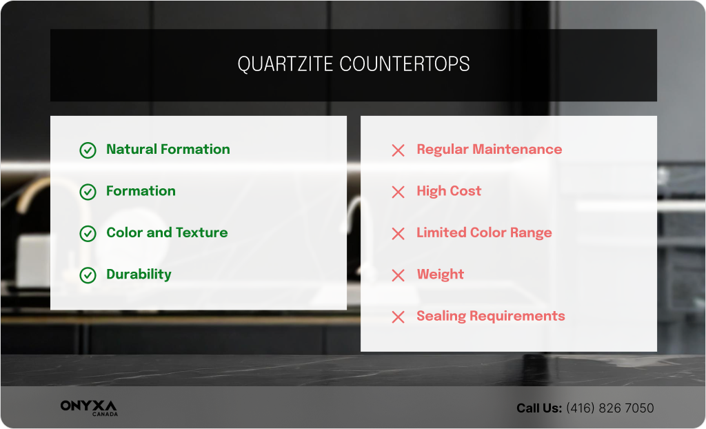 Porcelain Countertops vs Quartzite 2 Porcelian Slabs for Showe Walls Metrics 1